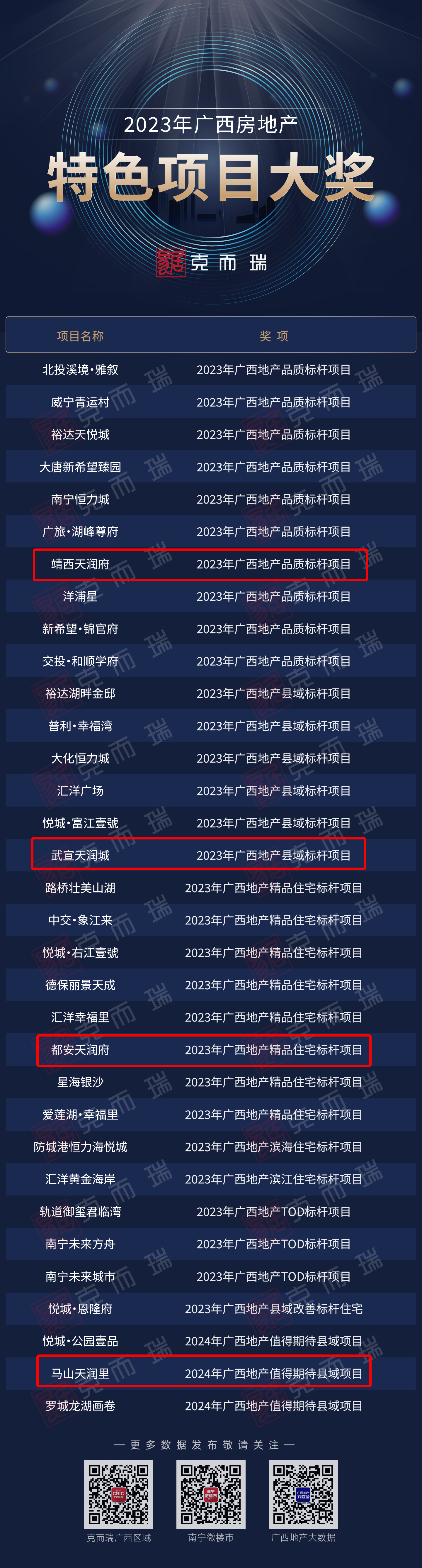 项目奖.jpg