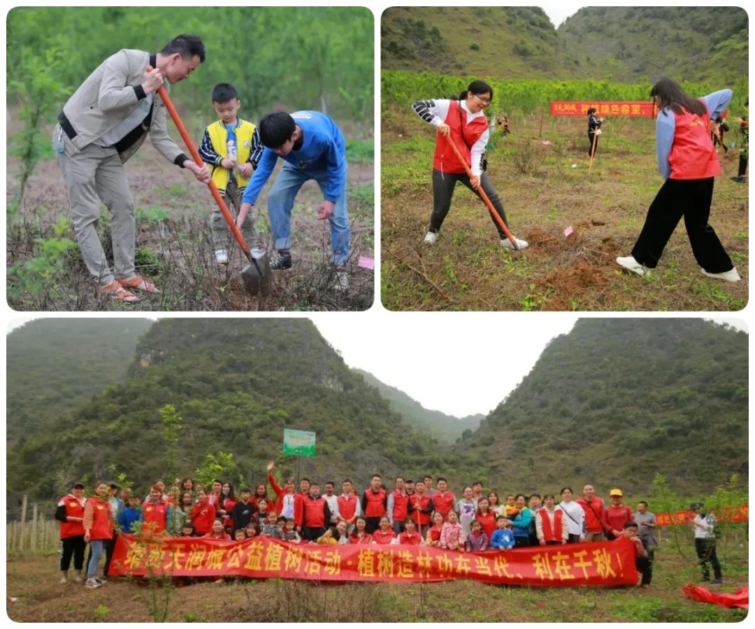 靖西公益行 | 不负春光，悦恒植树活动圆满结束！